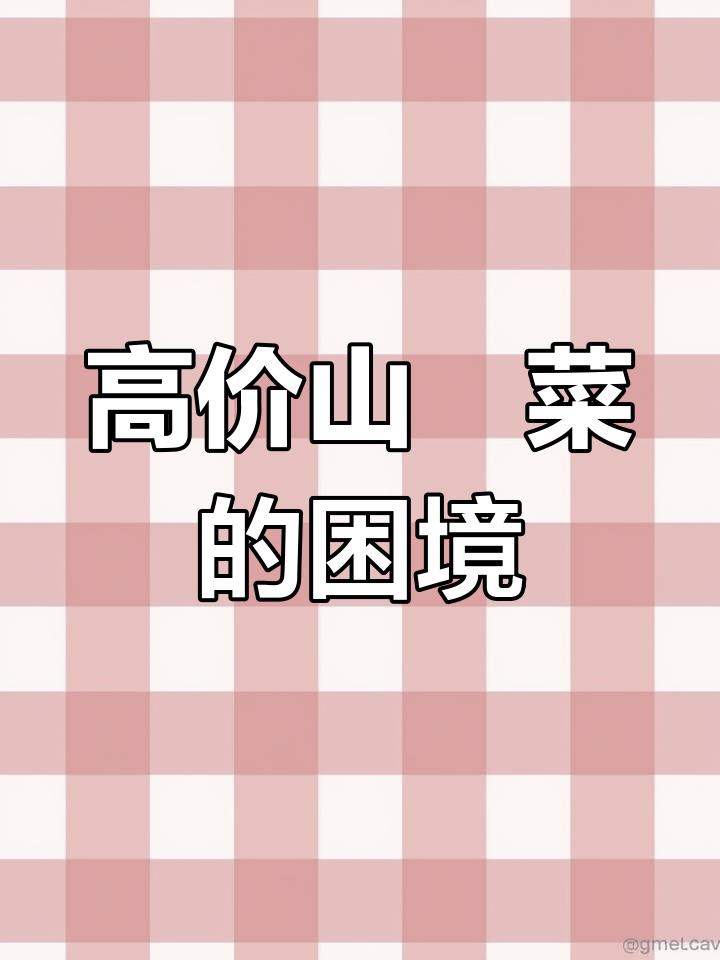 山萮菜为何在国内无人种植,却出口高价?