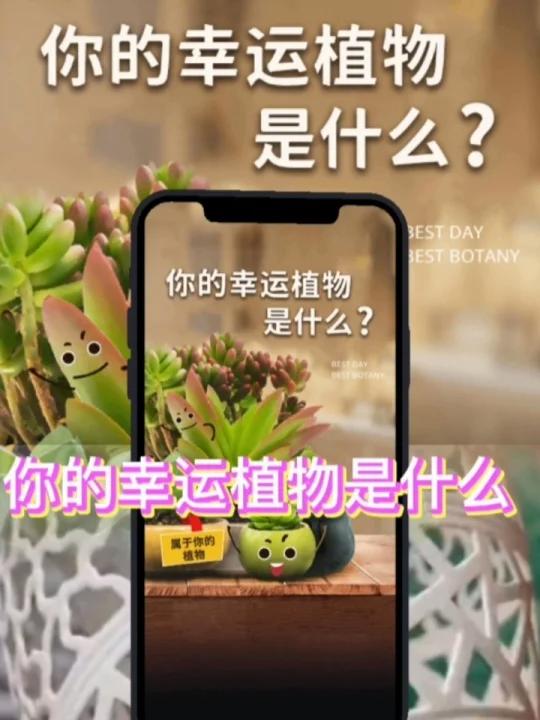 你的幸运植物是什么?