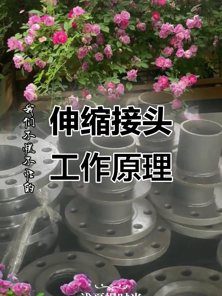 伸缩器与膨胀节原理解析:电力工程中的关键应用