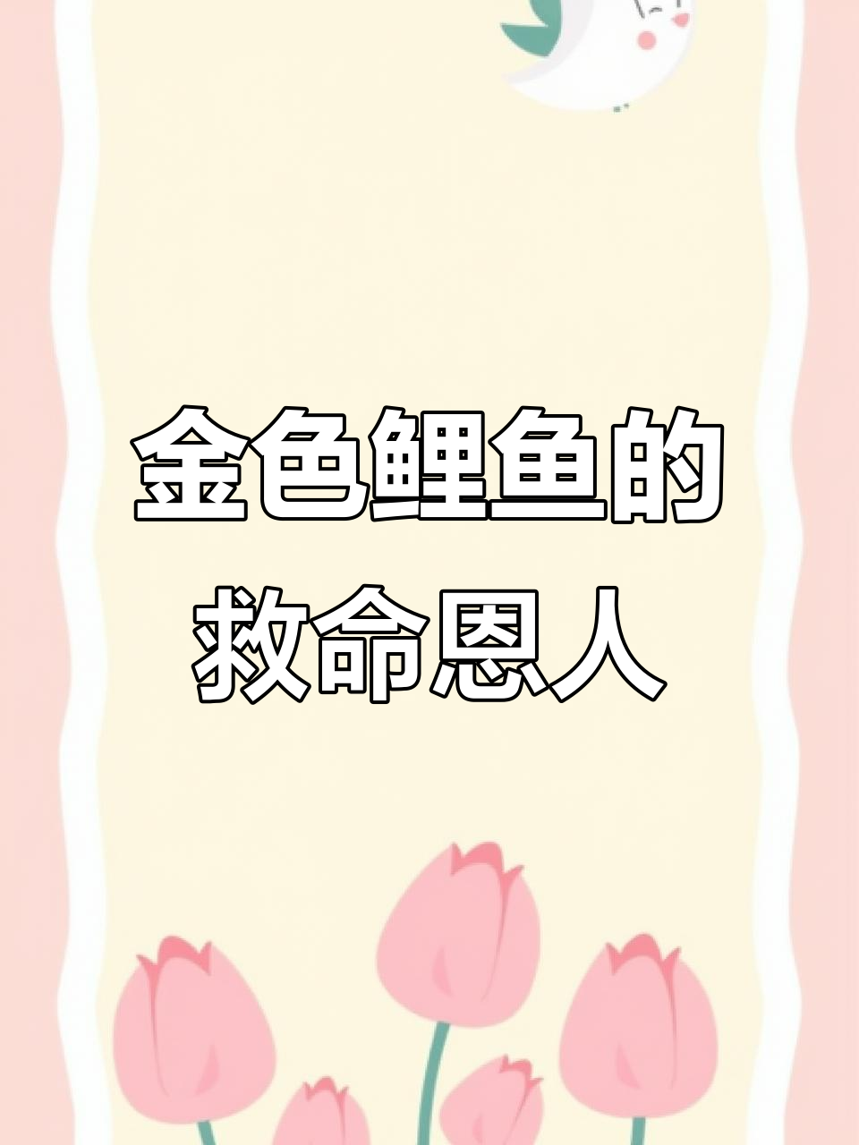 珍珠救鲤鱼,金色鲤鱼的秘密