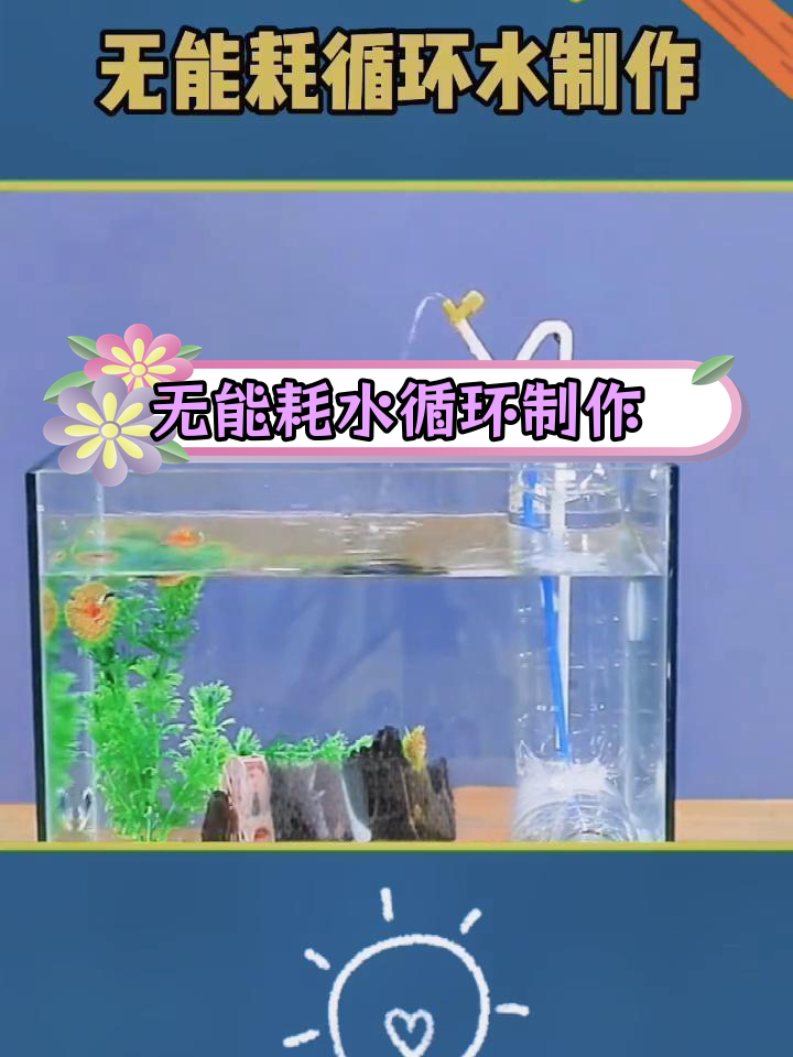 简单自制鱼缸水循环装置