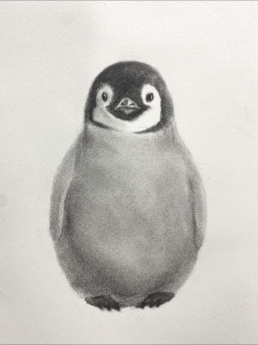 超级简单的小企鹅画法～一看就会