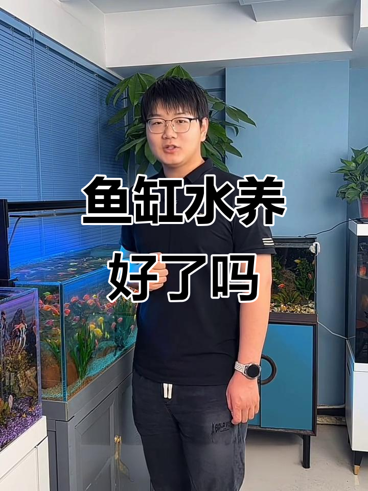 如何判断鱼缸消化细菌是否建立?三招教你轻松搞定
