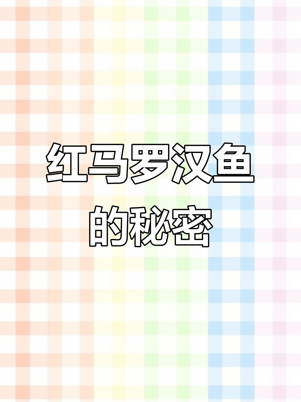 泰国红马罗汉鱼:独特魅力与养殖技巧