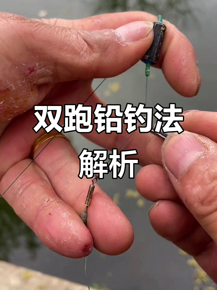 钓鱼技巧大揭秘：如何用双跑铅钓法轻松捕获大青鱼
