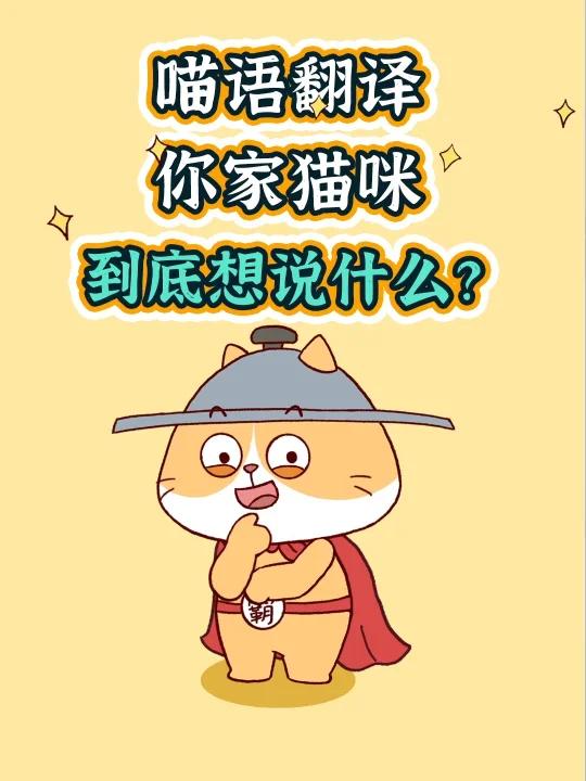 喵语十级翻译告诉你,不同的喵喵声是啥意思