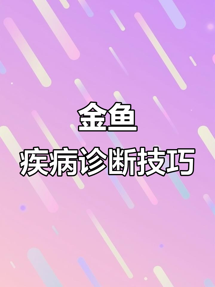 2024年7月16日兰寿金鱼常见病判断与应对