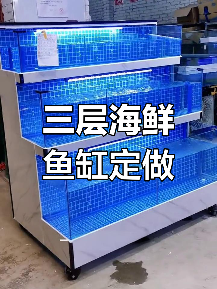 信阳海鲜鱼缸定制实拍,三层设计美观实用