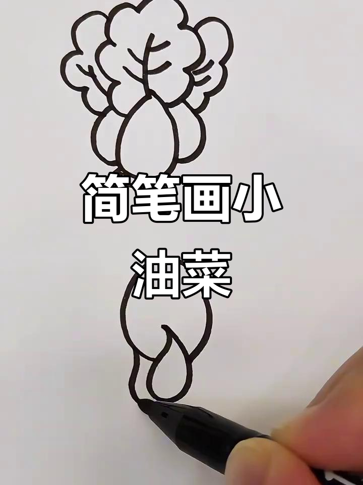 小油菜、萝卜和花菜,可爱又营养的蔬菜组合