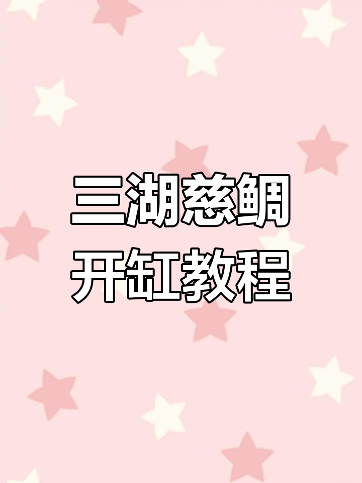 新手养三湖慈鲷全攻略:如何开缸造景