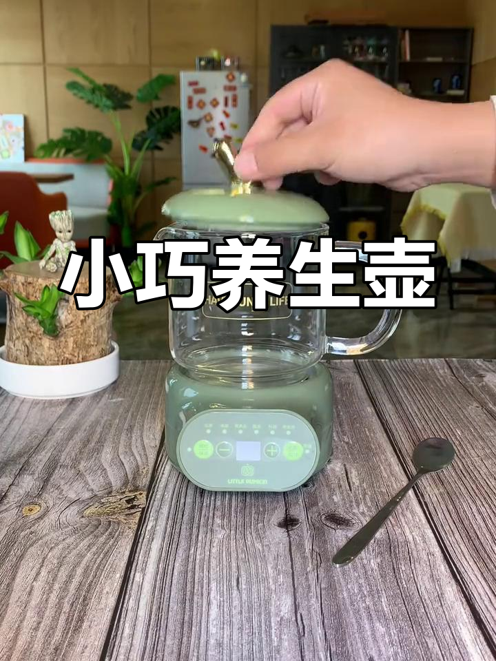 办公室必备!多功能电炖杯,随时享用热饮