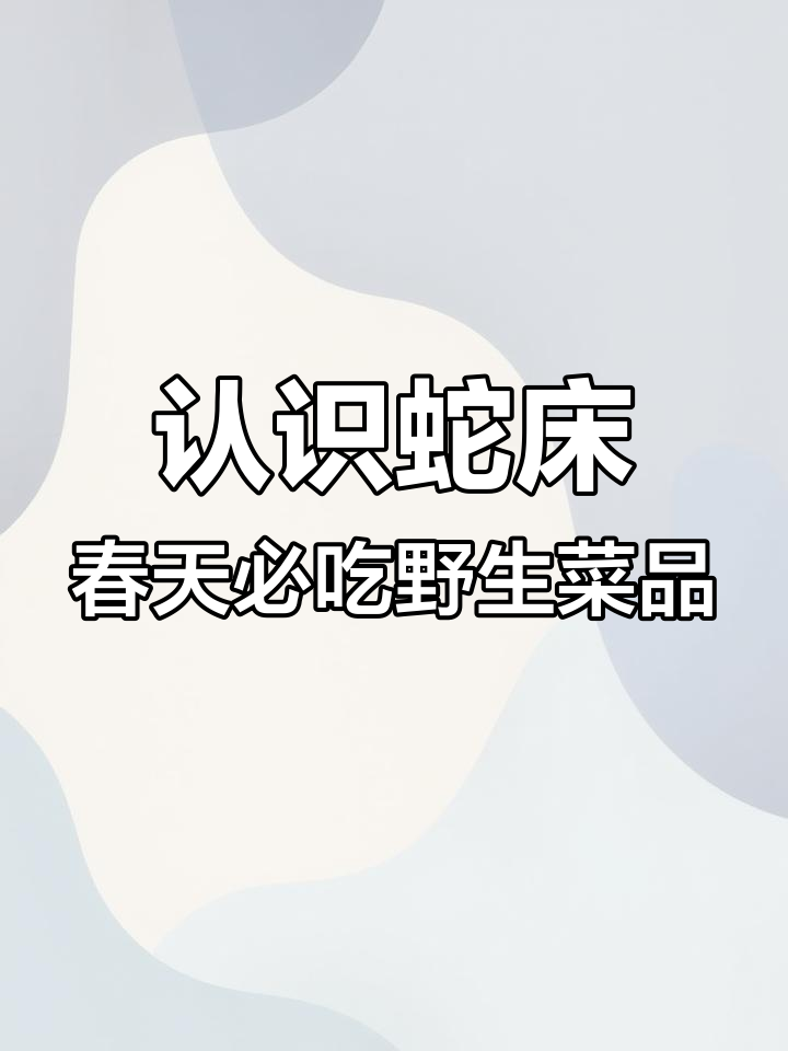 蛇床:春季野菜新发现,营养丰富如胡萝卜