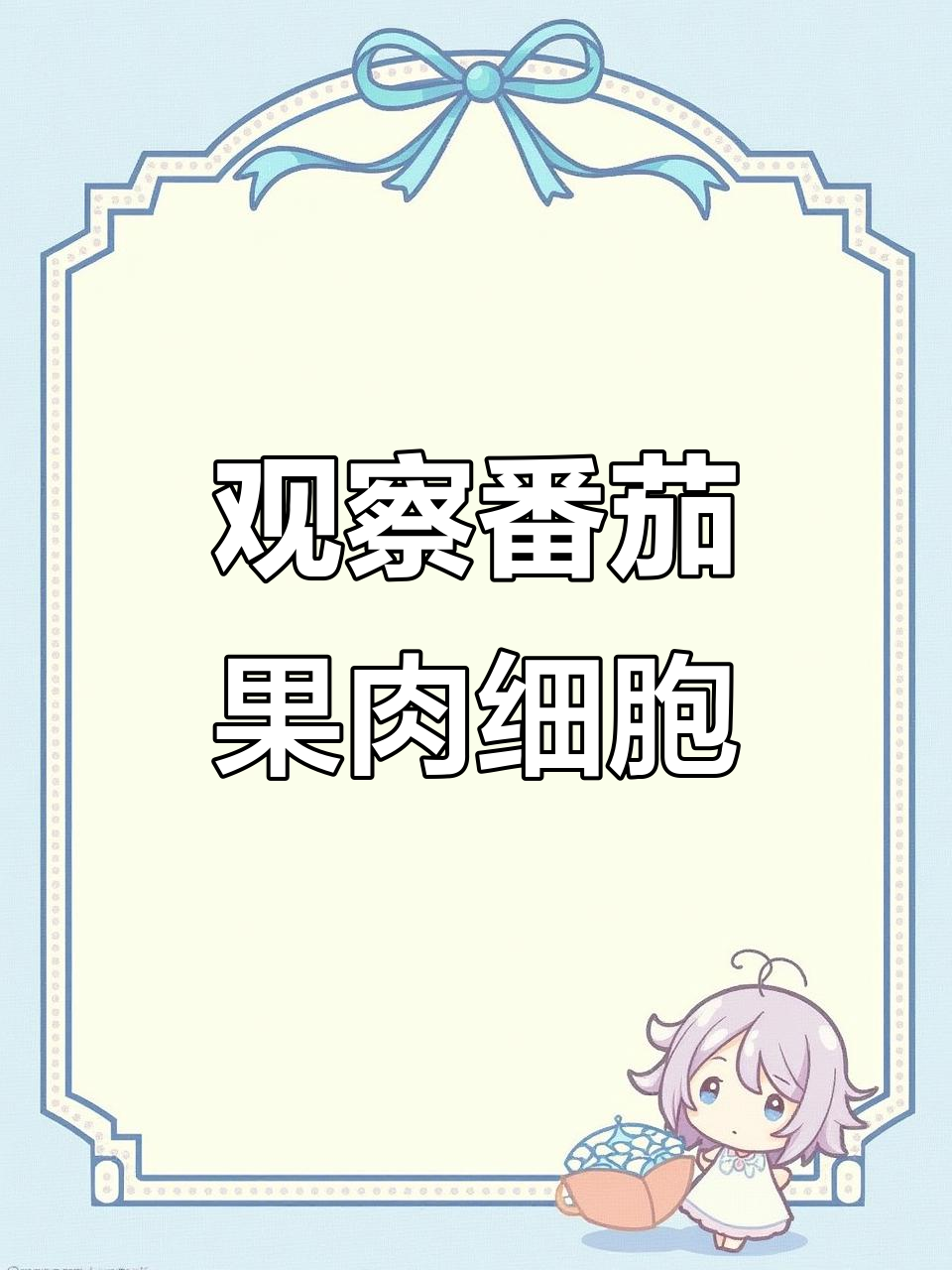 自制显微镜下的番茄果肉细胞,清晰可见圆形液泡与薄壁结构