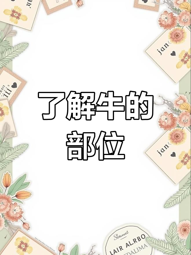 牛肉部位全解析