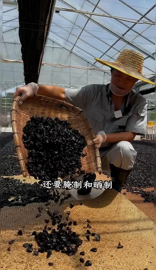 榄角蒸鱼、蒸排骨,是你童年的味道吗
