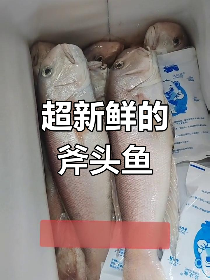 斧头鱼新鲜到货,数量有限!赶紧来尝鲜