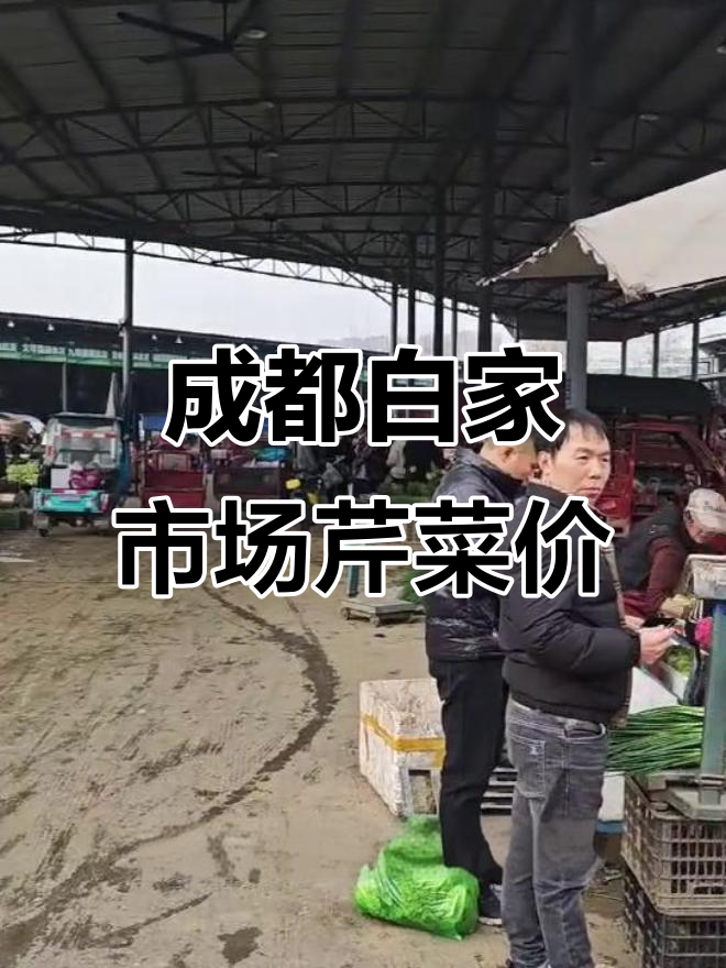 白家市场本地芹菜价格大揭秘,批发与零售差距惊人