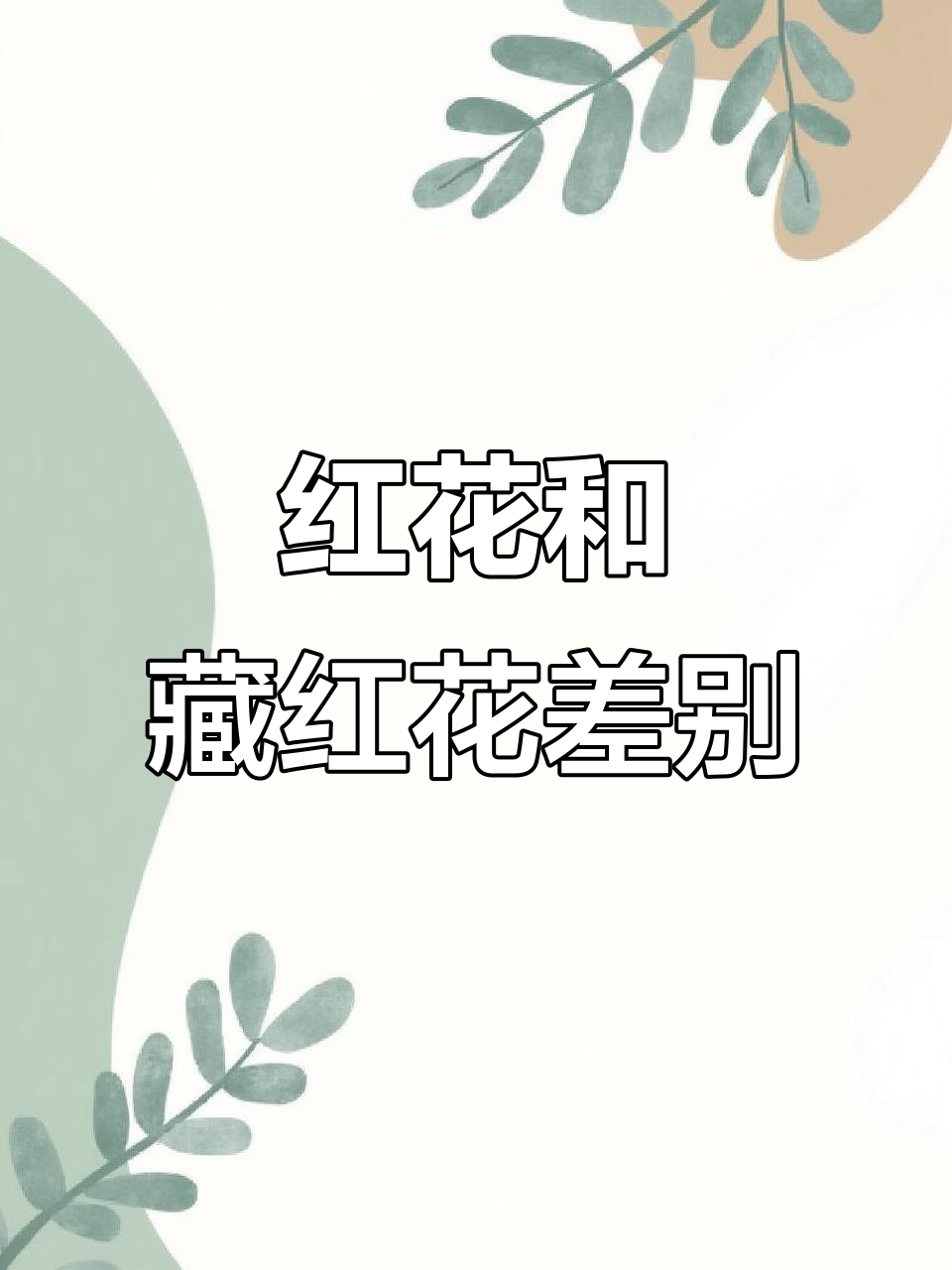 红花与藏红花的区别,核桃瓶骗局曝光