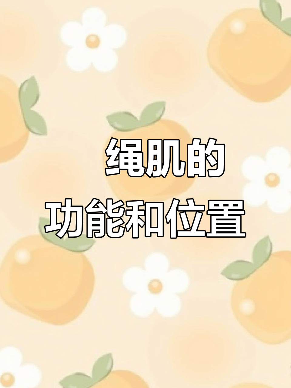 腘绳肌的组成与功能解析，了解大腿后侧肌肉结构