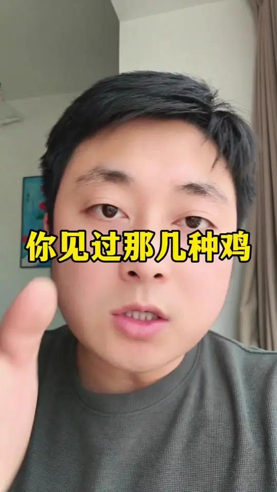 你见过哪几种鸡
