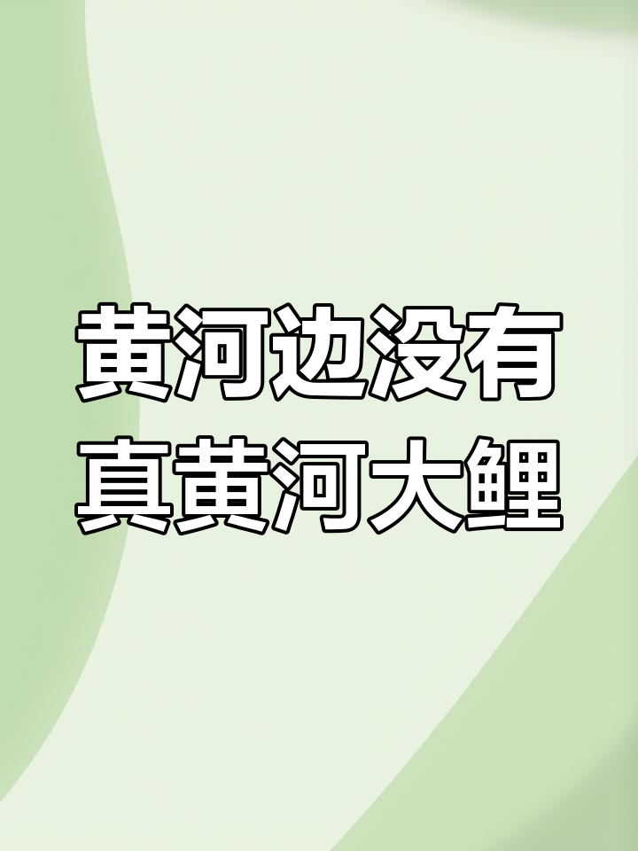 黄河大鲤鱼真相:白银市场上的“假货”