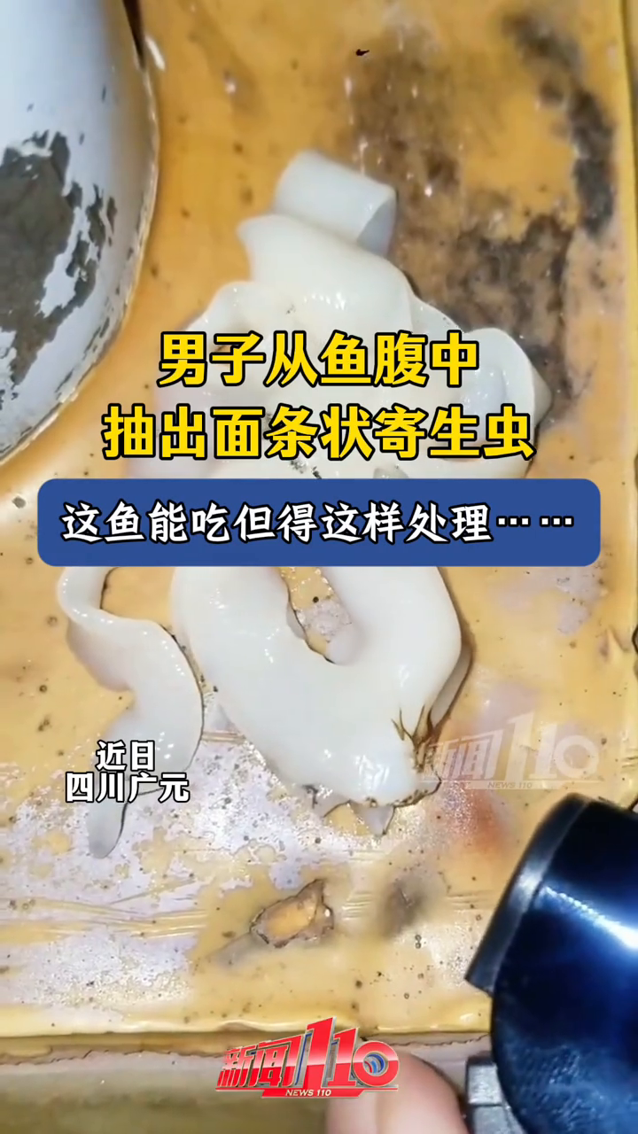 这种情况的鱼千万别生吃！