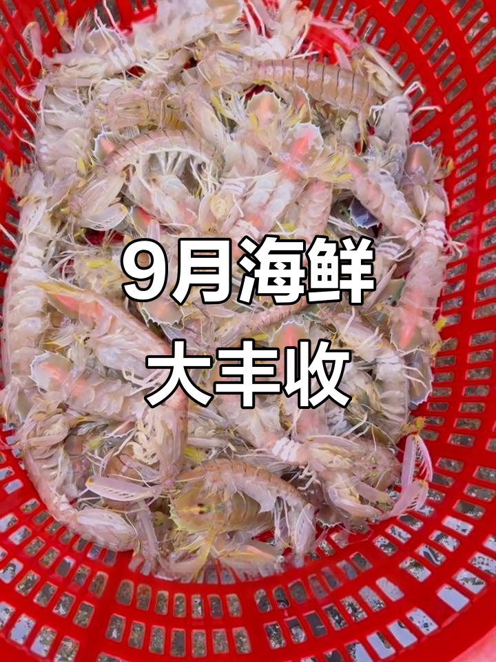 九月皮皮虾和螃蟹最肥,满肉才25元一斤!