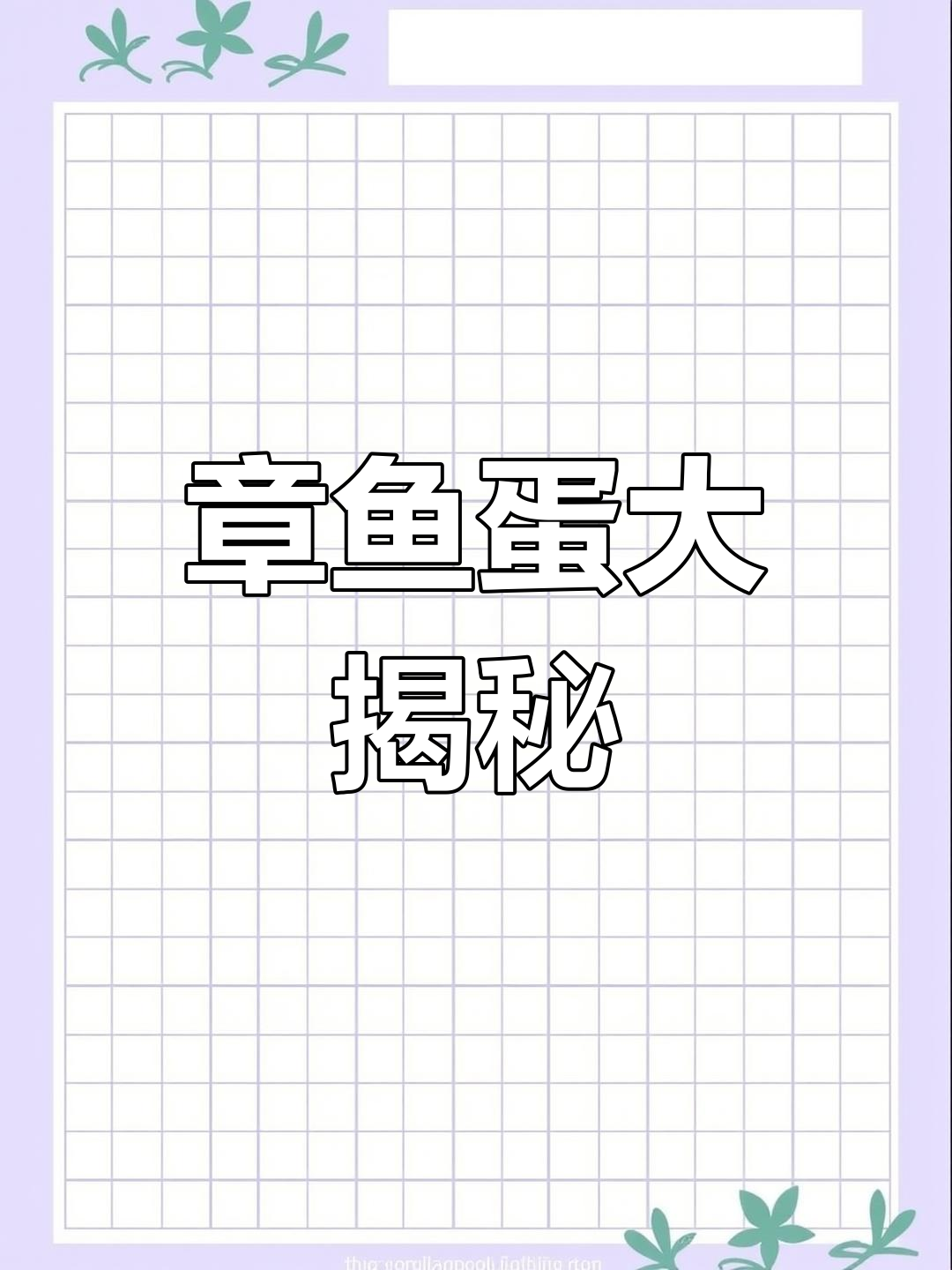 巨型章鱼蛋,五百块值不值?