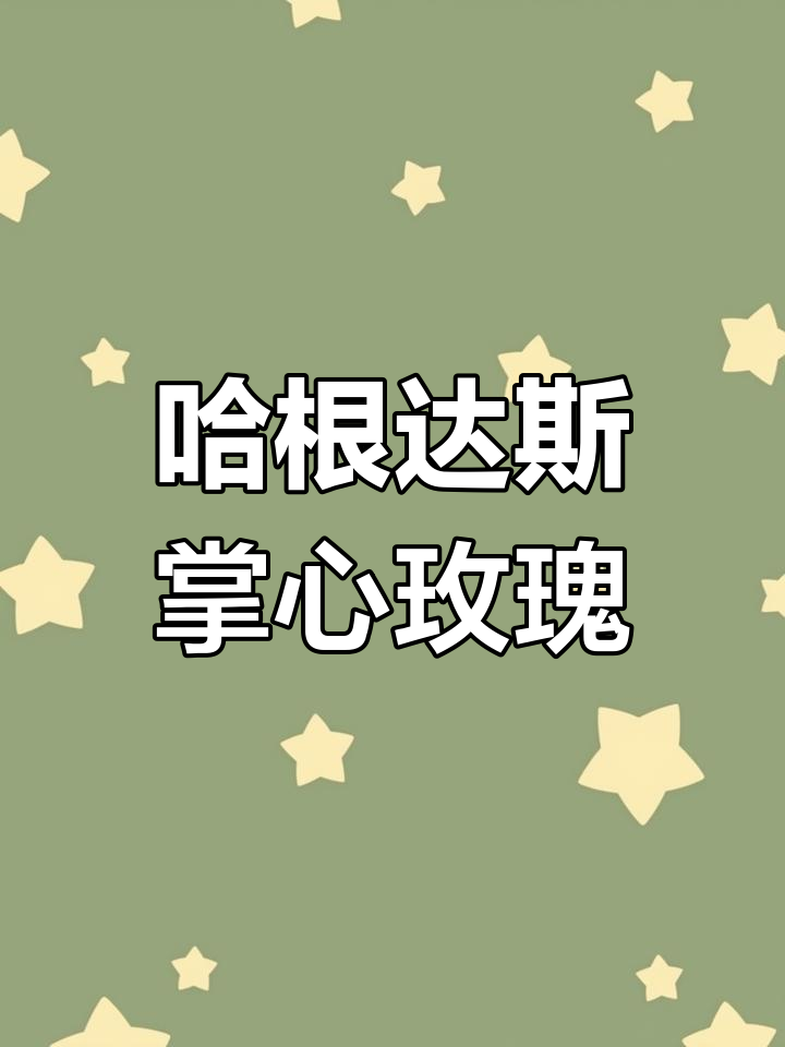 菏泽的哈根达斯掌心玫瑰,浪漫惊喜
