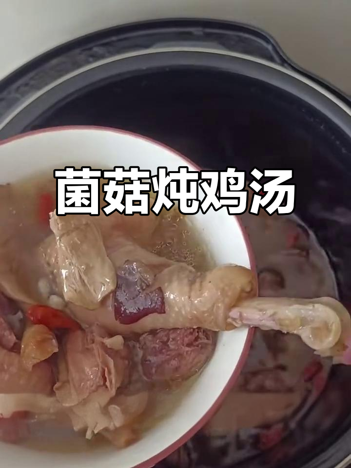 杂菇炖老母鸡汤，营养又美味