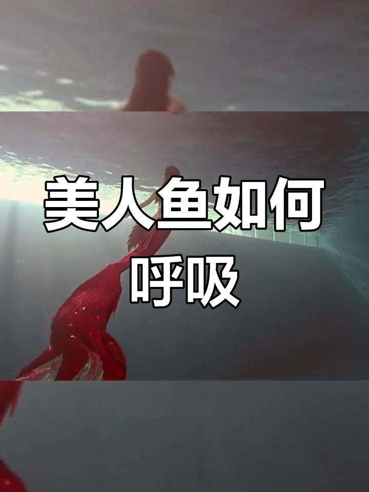 美人鱼潜水闭气技巧教学