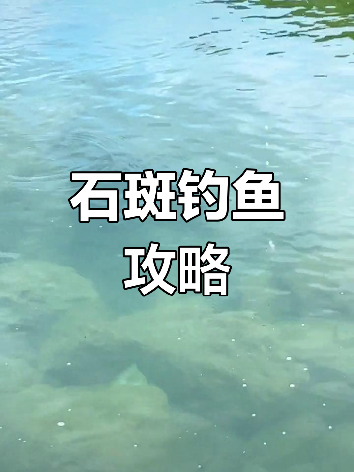 溪流石斑鱼垂钓技巧,缓慢发窝需耐心