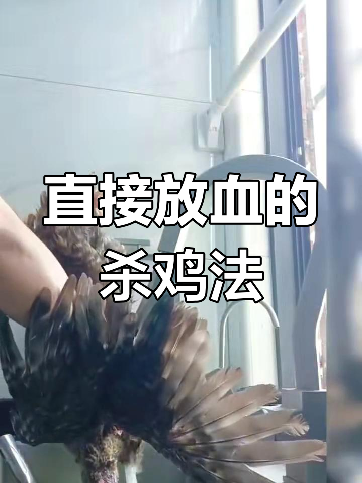 杀鸡放血,厨房必备技巧