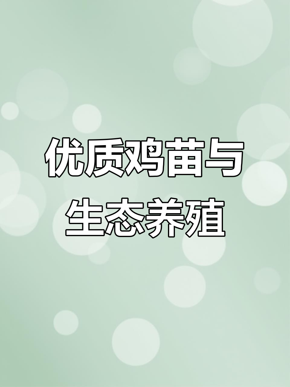 优质鸡苗批发,生态散养土鸡助力家禽养殖