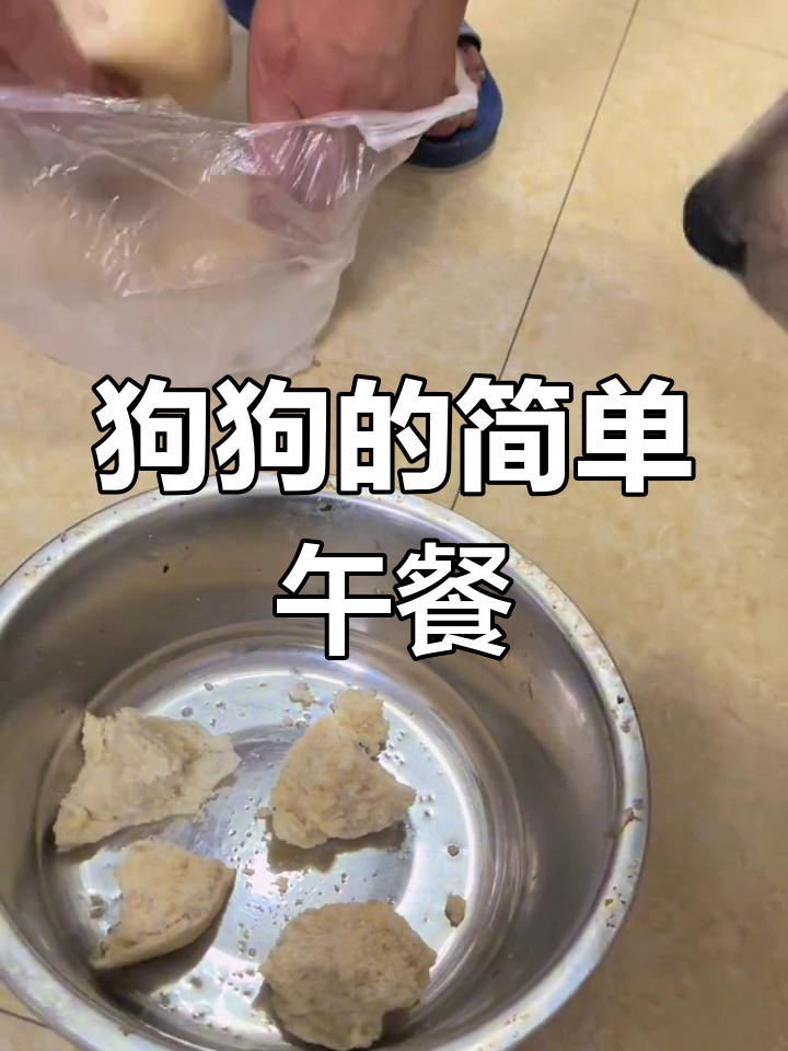 拉布拉多吃家常饭,享受美味时光