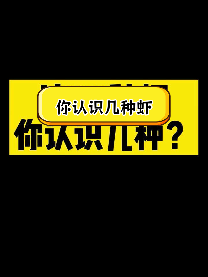 20种常见虾类大盘点