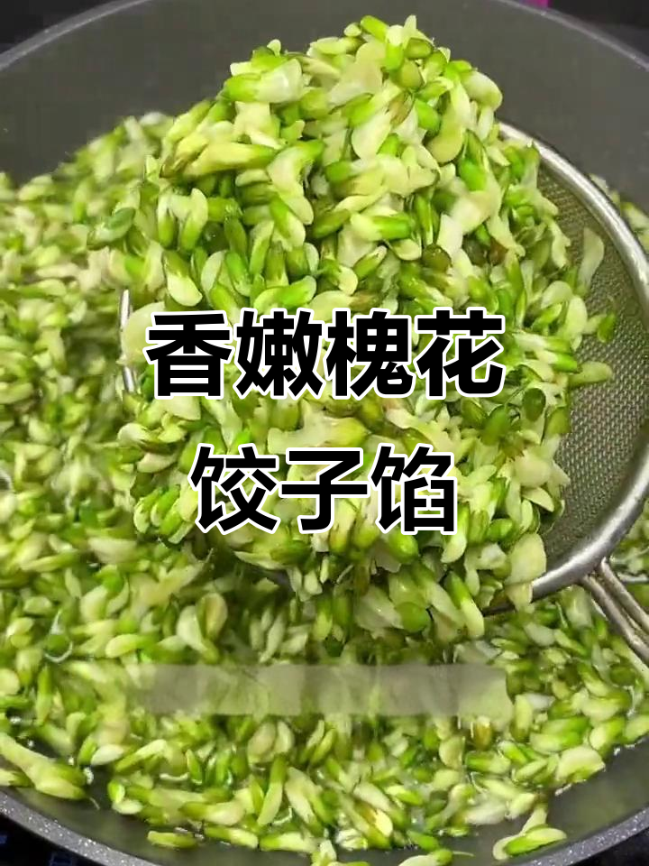 槐花饺子馅做法,不腥不柴,满口香气让人怀念
