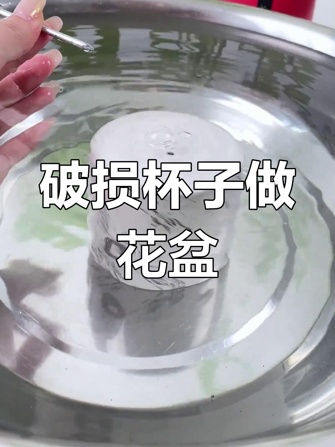 废旧咖啡杯变多肉花盆,简单打孔技巧教你废物利用