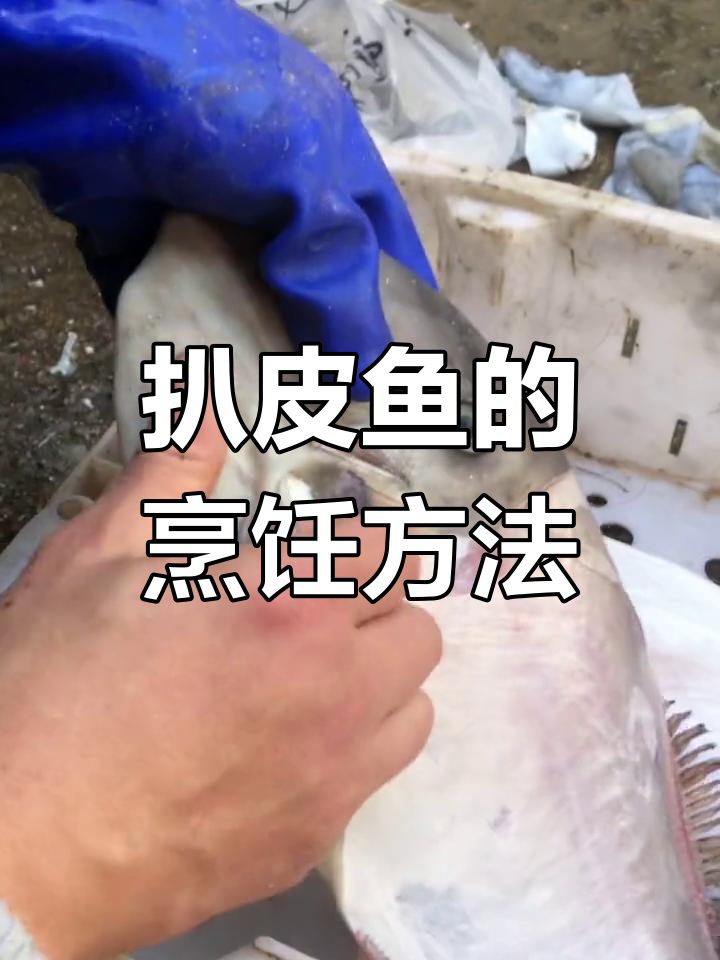 扒皮鱼清理技巧大揭秘,红烧清蒸油煎煲汤都行