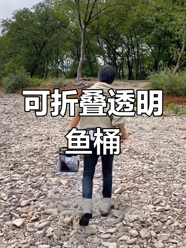 透明折叠活鱼桶,路亚溪流钓鱼必备