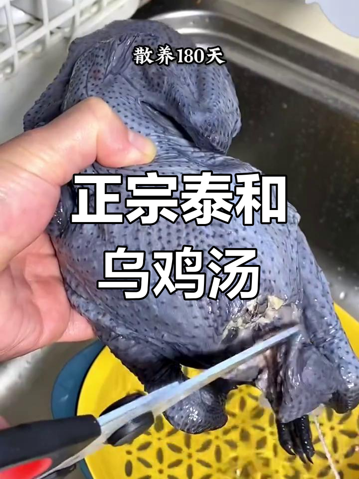 泰和乌鸡汤,散养无骨鸡的鲜美汤品