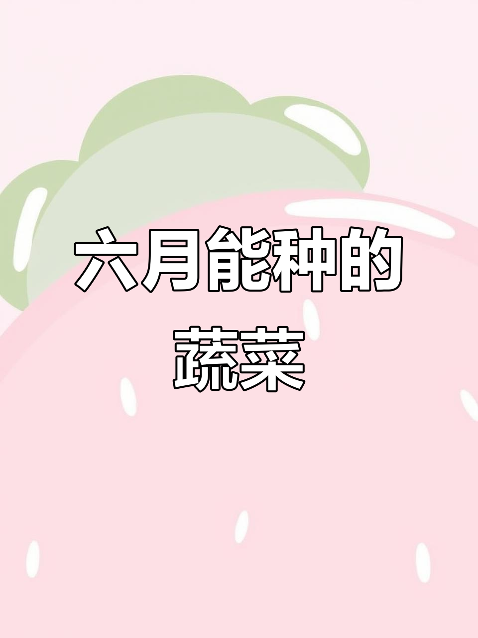 六月份适合种什么蔬菜?叶菜、豆类、瓜果全都有