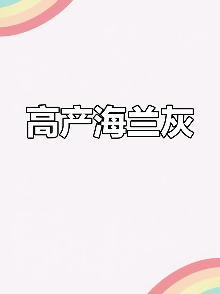 海兰灰鸡产蛋稳定,2月轻松脱温,日常一枚鸡蛋稳获