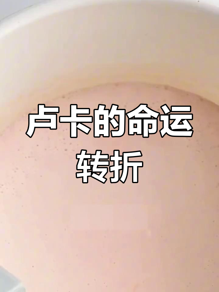 卢卡与阿尔瓦的奇异相遇:从孤儿到被收养的转变