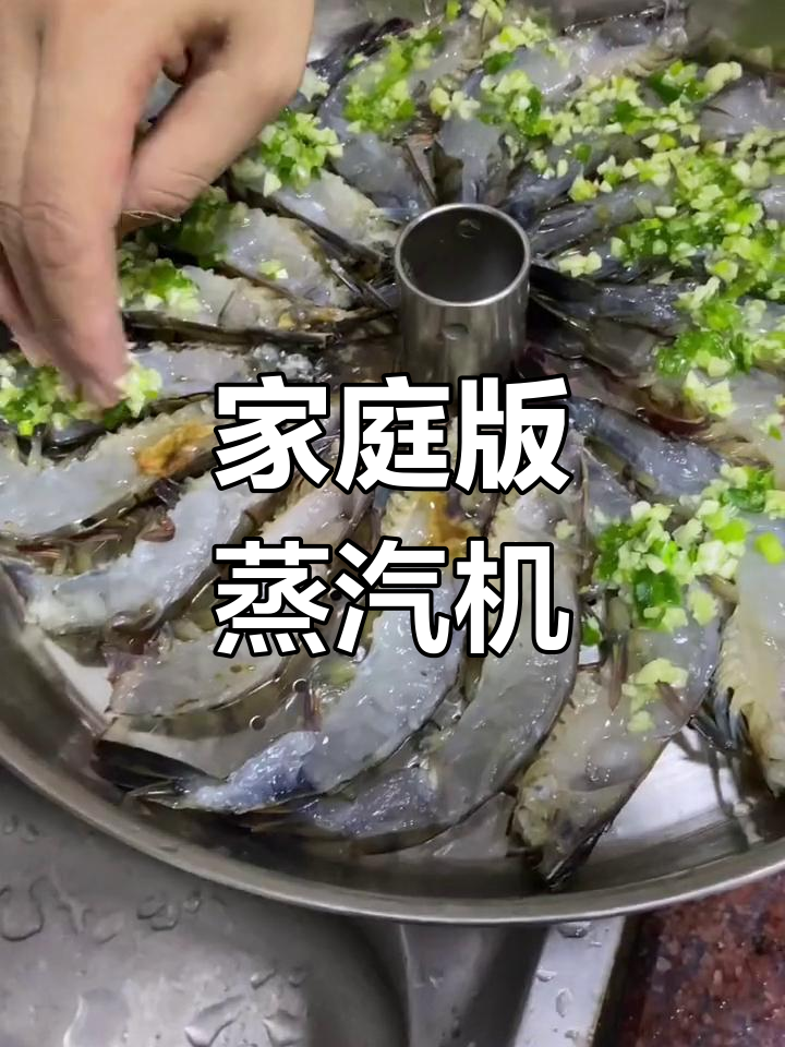 自制蒸汽机,轻松做海鲜蒸鸡