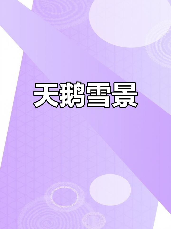 威海天鹅雪中舞,冬日童话般美丽