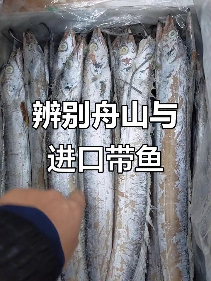 如何区分舟山带鱼和进口带鱼的独特特征