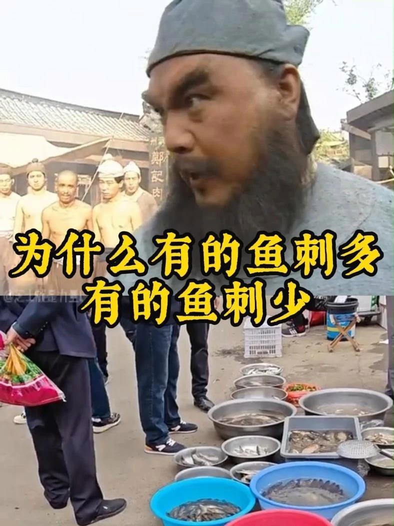 为什么有的鱼刺多,有的鱼刺少?鱼刺