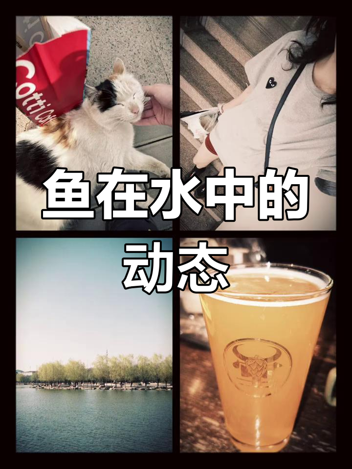 鱼在水中游,头尾皆动感十足
