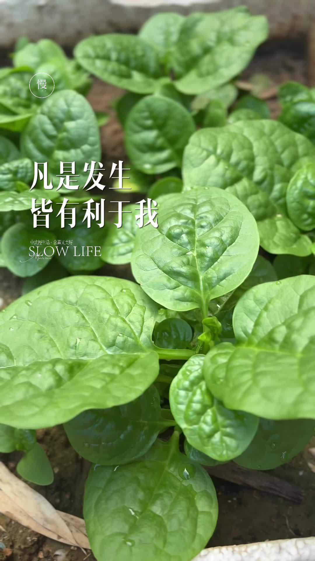 若想重养自己,从什么时候开始都不晚……你需要好好爱自己,做一个内核稳定的人,要学会关心自己
